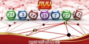 Bạch thủ lô là gì