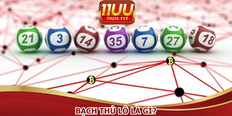 Bạch thủ lô là gì