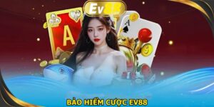 Bảo hiểm cược EV88