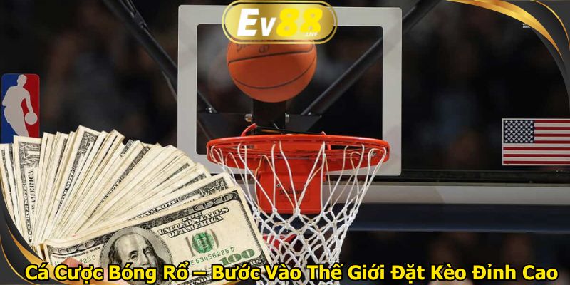 Cá Cược Bóng Rổ