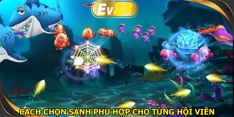 Cách chọn sảnh phù hợp cho từng hội viên gia nhập