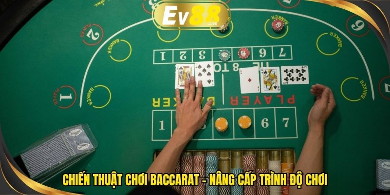 Chiến thuật chơi Baccarat
