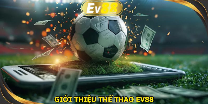 Danh mục thể thao EV88 uy tín trên thị trường