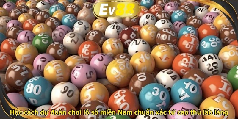 Học cách dự đoán chơi lô số miền Nam chuẩn xác từ cao thủ lão làng