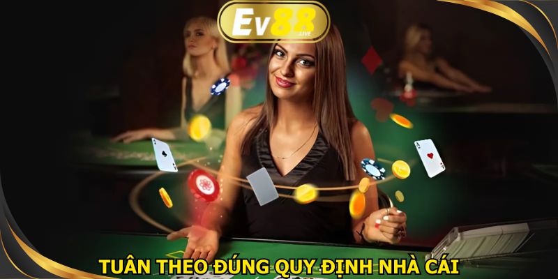 Hội viên cần tuân thủ theo đúng điều khoản và điều kiện