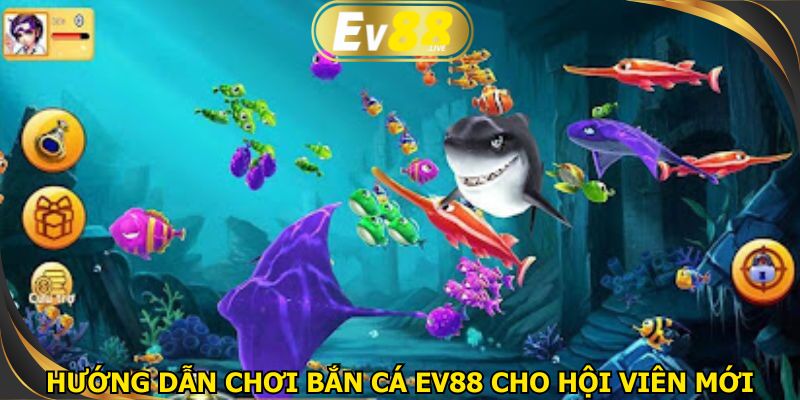 Hướng dẫn chơi bắn cá EV88 cho hội viên mới