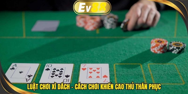 Luật chơi xì dách