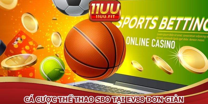 Cá cược thể thao SBO đơn giản