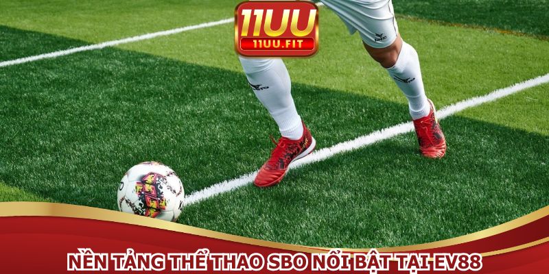 Nền tảng thể thao SBO nổi bật
