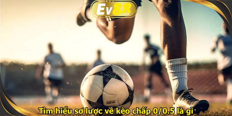Tìm hiểu sơ lược về kèo chấp 0/0.5 là gì